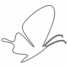 Butterfly doodle drawing and design.