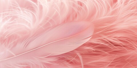 Pink Feathers Textured Background Featuring A Delicate Swan Feather. Сoncept Nature-Inspired Photoshoot, Soft And Dreamy Portraits, Feminine Elegance, Ethereal Beauty