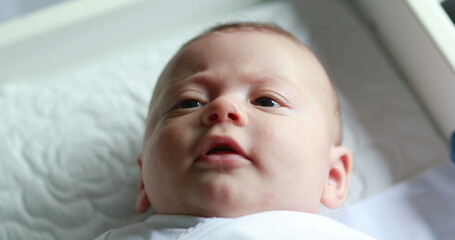 Baby infant portrait face looking