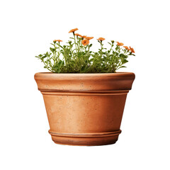 flower in flowerpot