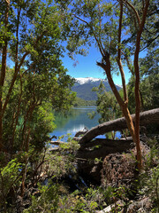 Rio Arrayanes por la Huella Andina, Parque Nacional Los Alerces, Chubut, Patagonia Argentina