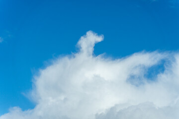 Bright Blue Sky with White Cotton Clouds