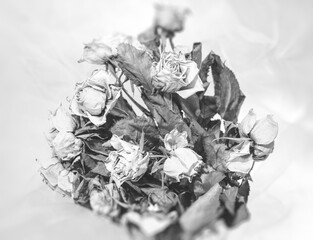 Bouquet of dried roses against a background of illuminated tulle, a symbol of dying love