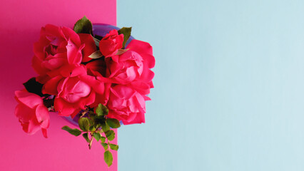 Top view of hot pink roses with copy space on background for valentines day holiday.
