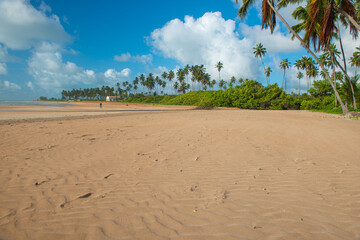 Brazilian Northeast Coast - Riacho Beach, Sao Miguel dos Milagres, Alagoas