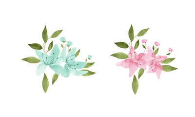 Set watercolor arrangements with flowers. Pink and blue bouquets. Hand drawn isolated on white background. Botanical spring illustrations.