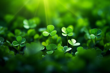 St. Patrick’s Day. Green background. Clover, shamrock