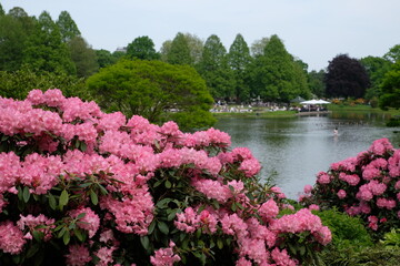 Planten und Blumen park in Hamburg, Germany, beautiful landscape, lake and flowers, Hamburg city, nature beauty