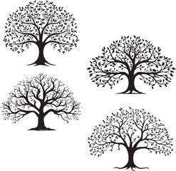 Set of Olive Tree black silhouette on white background