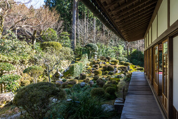 garden in the garden