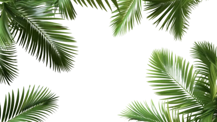 Poster Tropical frame with green palm leaves. Tropical plant branches isolated on a transparent background. © SRITE KHATUN
