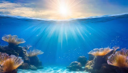 Zelfklevend Fotobehang beautiful blue ocean background with sunlight and undersea scene © Adrian