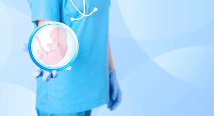 Embryo icon in the hands of a gynecologist doctor as a symbol of conception and in vitro...