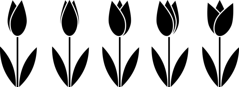 Tulip flower icon vector set. Simple tulip silhouette sign .Black tulip flowers with leaves line icons collection .