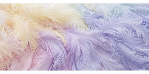 Soft Whispers of Nature: A Dreamlike Display of Pastel Feathers - Capturing Tranquility and Elegance in a Soothing Backdrop