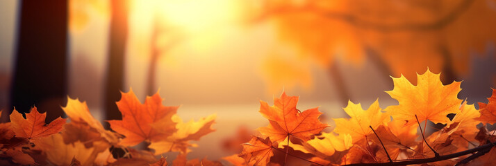 Naklejka na ściany i meble Autumn maple leaves in the park at sunset background