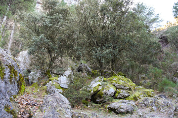 Beautiful landscape near the Nacimiento del Rio Mundo in Albacete, Spain