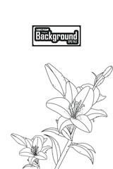 Vector background floral flower design illustration