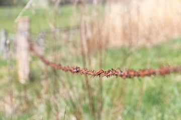 Stacheldrahtzaun