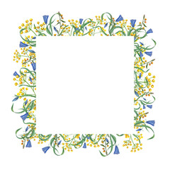 Obraz premium Spring meadow flowers. Square frame with copy space for text. Yellow, blue blooming flowers. Watercolor birthday illustration. For greeting, cards design, invitation template.