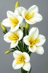 a bouquet of Freesia white flowers white flowers with yellow centers and green stems. ai generative