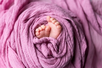 legs of a newborn baby. baby's feet. baby feet on purple background