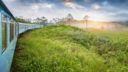 A train meanders through the tea plantations in the highlands of Sri Lanka