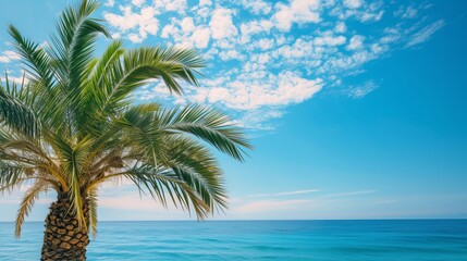 Fototapeta na wymiar Palm tree against the background of the sea and blue sky, free space for text, screensaver idea or background for advertising and desktop wallpapers. Summer holidays on the Mediterranean