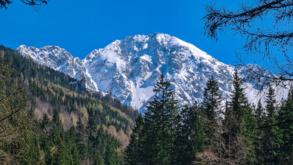 Scenic view of snow capped mountain peak Hochstuhl (Stol) seen from Bärental in Karwanks, Carinthia, Austria. Remote alpine landscape in springtime in Austrian Alps, Europe. Idyllic trail in forest