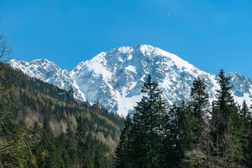 Scenic view of snow capped mountain peak Hochstuhl (Stol) seen from Bärental in Karwanks, Carinthia, Austria. Remote alpine landscape in springtime in Austrian Alps, Europe. Idyllic trail in forest