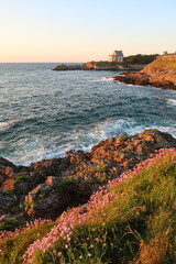 Paysage de mer et de côte sauvage au soleil couchant, avec des rochers et des fleurs roses de printemps, à Rothéneuf, à Saint-Malo en Bretagne, avec une maison isolée au loin (France) - obrazy, fototapety, plakaty