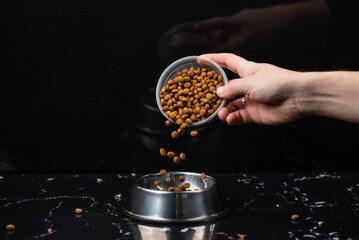 Brown cat or dog kibble in a metal bowl isolated top view close-up. Nutritious healthy diet pet...