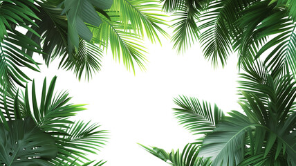 Tropical frame with green palm leaves. Tropical plant branches isolated on a transparent background.