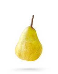 yellow fruit. isolated on a white background