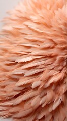 Naklejka na ściany i meble Peach Fuzz Color 2024: Feather-Inspired Aesthetic Wallpaper, Seamless Design, Trending Peach Fuzz Color, New Color Trend, 2024 Color Palette, Abstract Wallpaper, Soft Peach Feathers, Pastel Wallpaper,