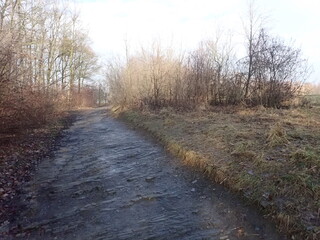 park road in the winter season