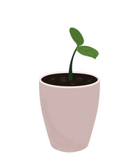 Green young plant sprout growing in pink cute pot. Spring vector pattern with texture. Flower picture for children, magazine, illustration, biology, textbook, social networks