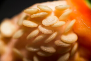 Closeup of pepper seeds inside 