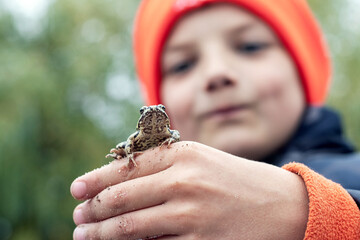 The boy holds a frog on his hand