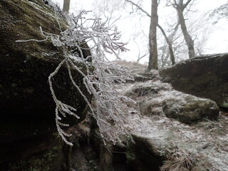 bohemian switzerland rocks and nature in winter