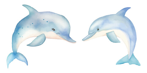 watercolor of dolphin vector illustration