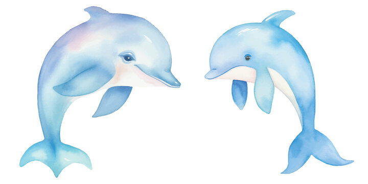 watercolor of dolphin vector illustration
