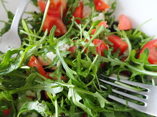 portion of a healthy vegetable salad