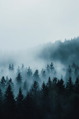 Trees silhouettes, vertical shot. Moody foggy forest in nature landscape. Minimalistic background for social media post or smartphone wallpaper