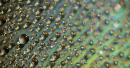 Background Macro Shot Of A Water Droplet