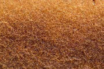 a loaf of dark rye sour bread in the kitchen