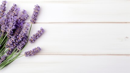 Lavender flowers on white wooden background. Top view with copy space