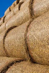 wheat straw collected in stacks after grain harvest