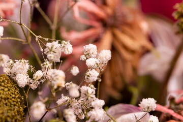 A combined bouquet of different types of flowers in close-up