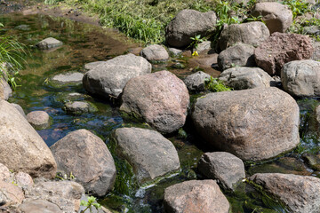 water flowing in a small narrow stream in summer